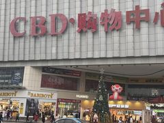 -CBD·中央大街(夷陵大道)