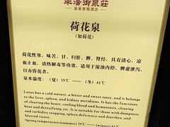-深业半汤御泉庄温泉