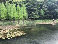 -广州市石门国家森林公园