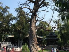 -晋祠公园