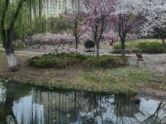 -白塘生态植物园