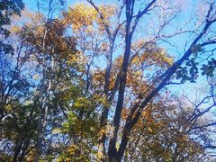 -帽儿山国家森林公园