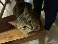 -老街坊餐吧