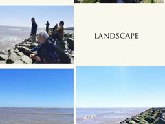 -南汇嘴观海公园