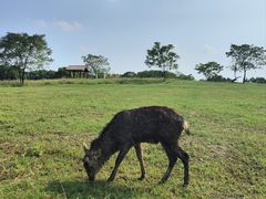 -良渚古城遗址公园