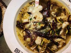 老坛酸菜鱼-乾园(天河城店)