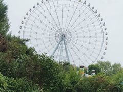 -万泉公园