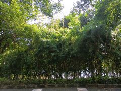 -南宁南湖公园