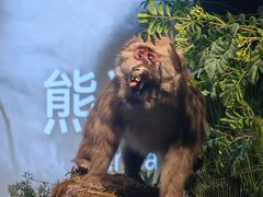 -四川博物院