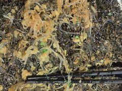 -盐帮食坊•小河帮川菜(四川师大店)