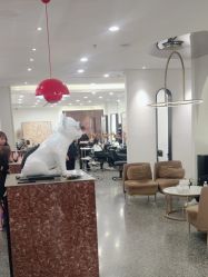 点击看大图 -SWANK SALON