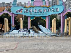 -海合安成都极地海洋公园