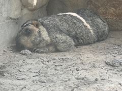 -广州长隆飞鸟乐园