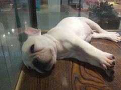 -乐宠宠物店(世纪金源店)