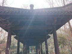 -习家池