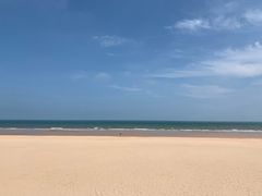 -日照海滨国家森林公园