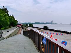 -上海滨江森林公园