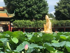 -宝墨园景区