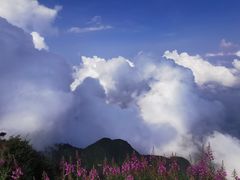 -峨眉山风景名胜区