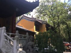 -灵谷景区
