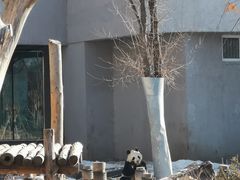 -沈阳森林动物园