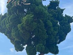 -郑庄脂渣海鲜楼(九水路店)