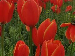 -漩门湾国家湿地公园