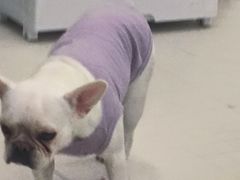 -怪兽屋·羊驼·猫咖·狗咖(俊华广场店)