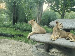 -北京野生动物园