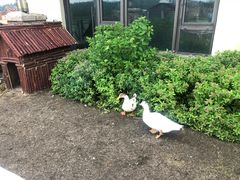 -长白山天域度假酒店