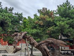-大钟寺古钟博物馆