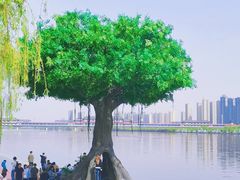 -咸阳湖景区