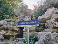 -朴园