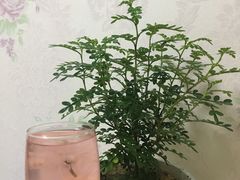 -好利来(西罗园店)