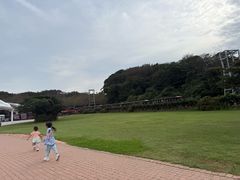 -济州森林小火车生态公园