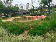 -武汉动物园