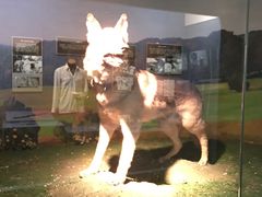 -上海公安博物馆