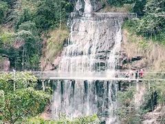 -九龙江国家森林公园