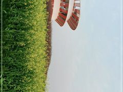 -光明小镇欢乐田园