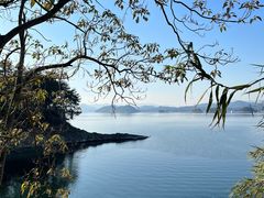-千岛湖天屿景区