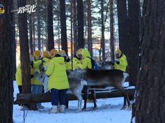 -北极村旅游风景区