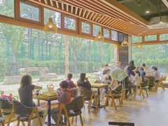-上海野生动物园老虎餐厅