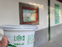 游乐设施-陶然亭公园