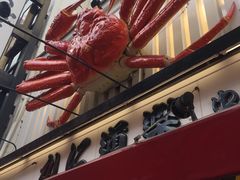 -蟹道乐(道顿堀本店)