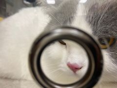 -美联众合动物医院·24h京西诊疗中心