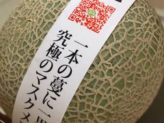 -沈阳市八家子水果批发市场