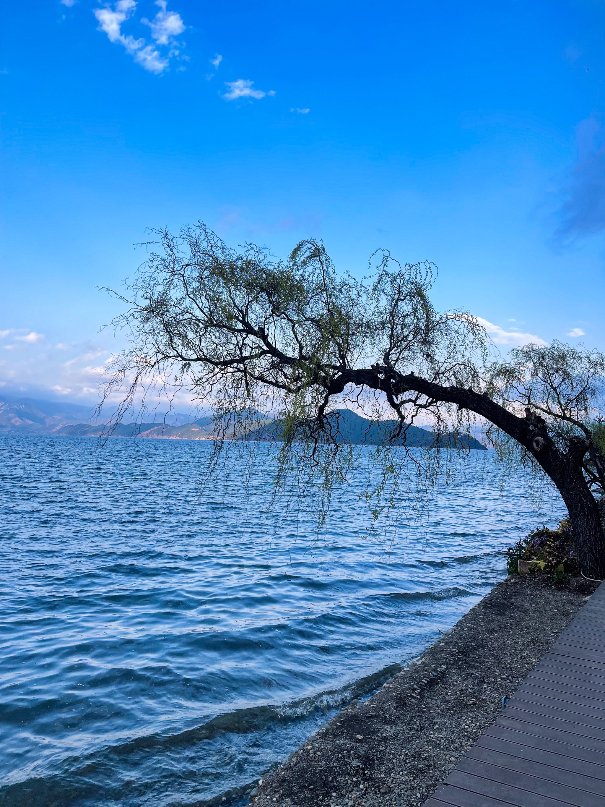 天气泸沽湖今日情况