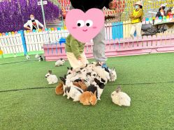 -萌宠亲子动物乐园(槐房万达店)