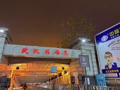 -武汉关码头(轮渡站)