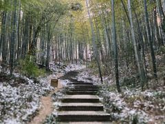 -镇江市南山风景名胜区竹林景区